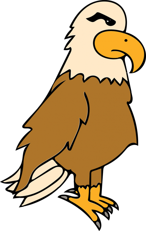 eagle bird prey