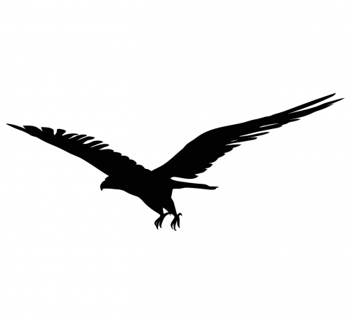 eagle bird symbol