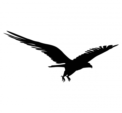 eagle bird symbol