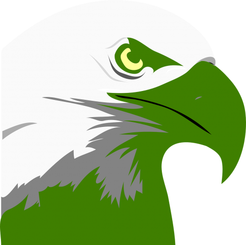 eagle head beak