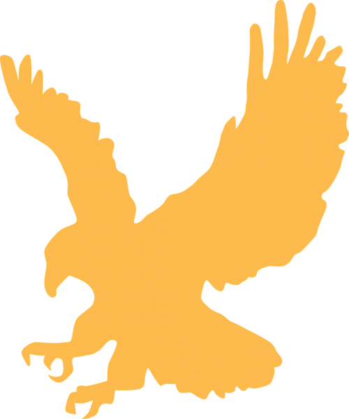 eagle gold wings