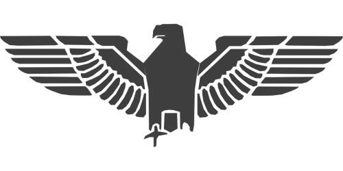 eagle bird falcon