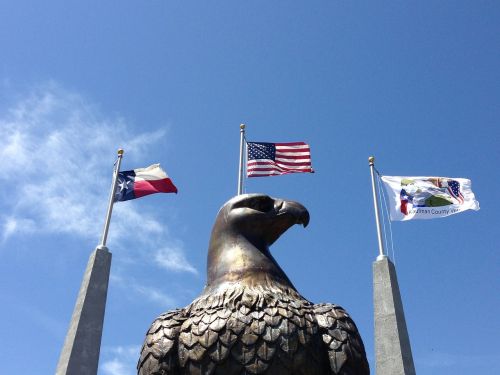 eagle texas flags