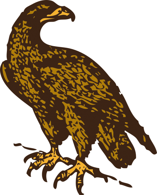 eagle golden bird