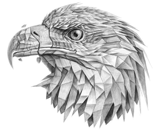 eagle  polygonal drawing  decoration