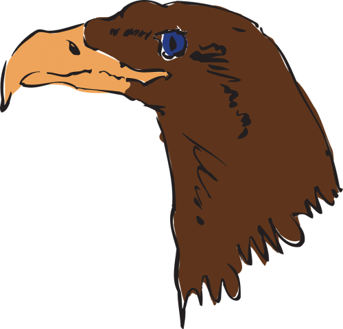 eagle head brown