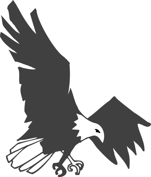 eagle black white