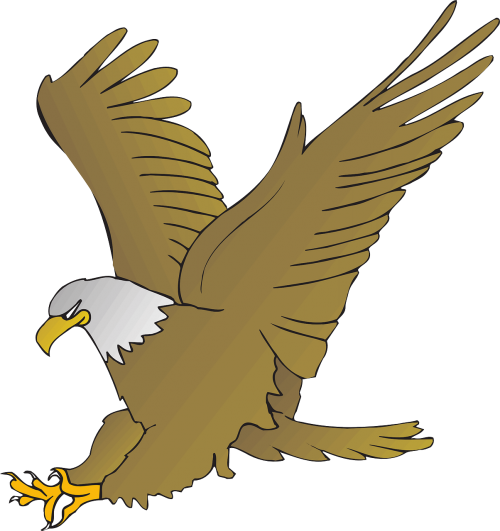 eagle animal beak