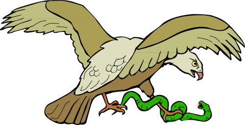 eagle snake kill