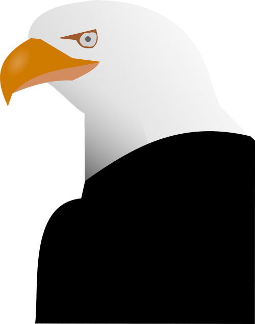 eagle animal beak
