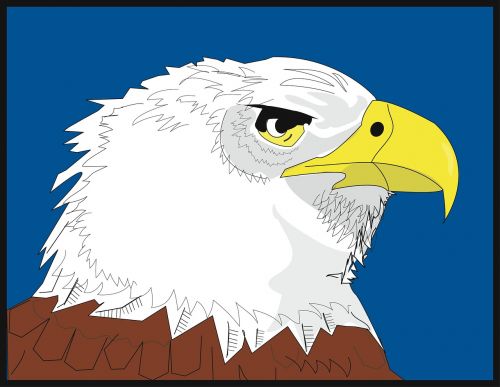 eagle symbol bird