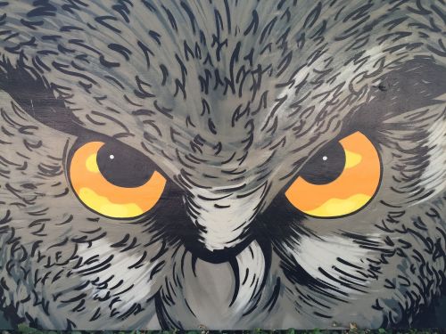 eagle owl art owl