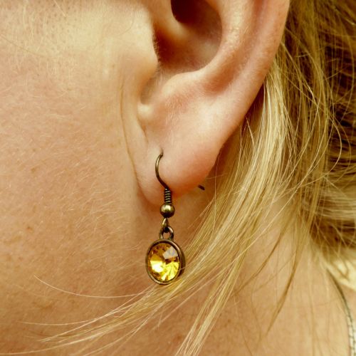 ear jewellery earring