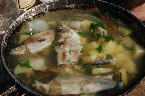 ear soup fish