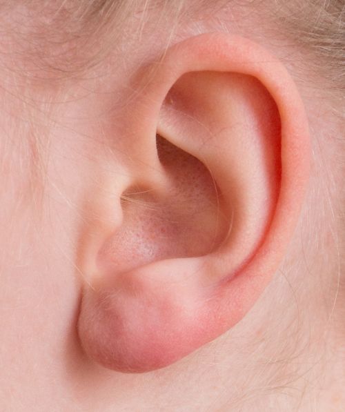 ear auricle listen