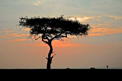 Early Sunset In Kenya