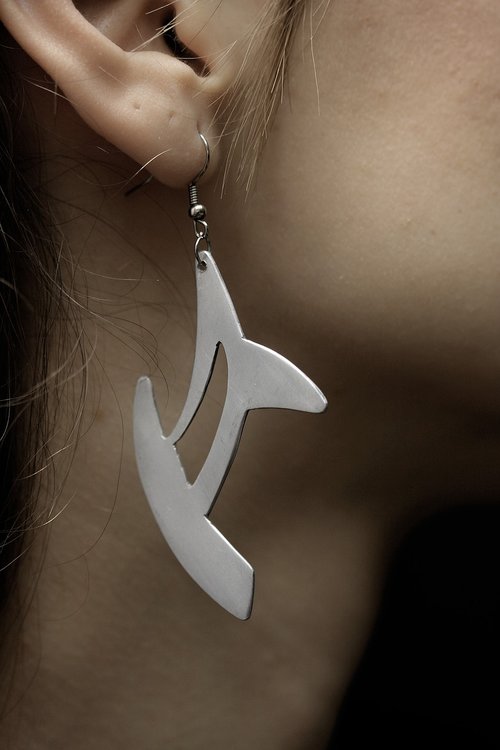 earrings  jewelry  daniel