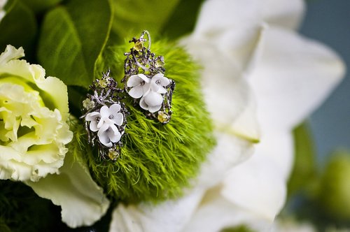 earrings  pearl  spring
