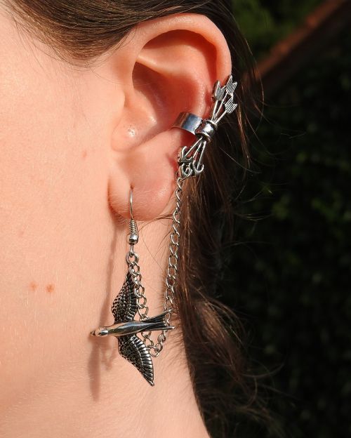 earrings jewel silver