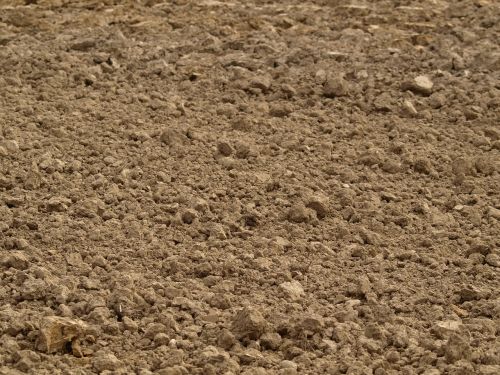 earth soil arable
