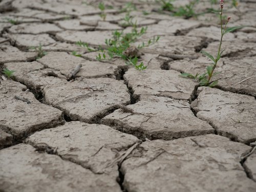 earth  cracked  clay soil