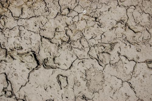 earth texture the background