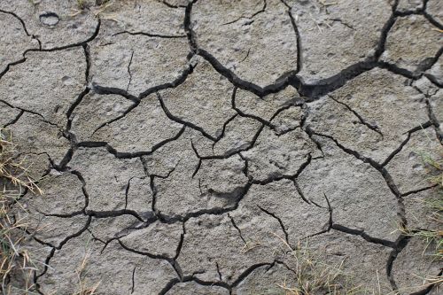 earth dry cracks