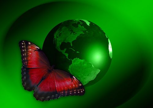 earth globe butterfly