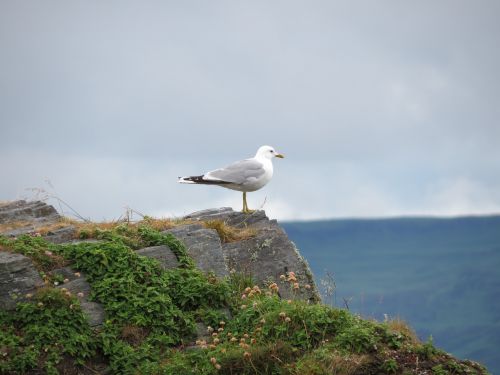 easdale scotland holiday