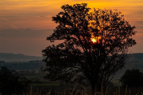 east  the sun  landscape