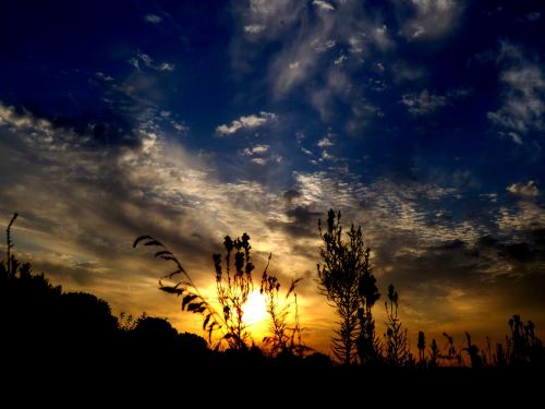 east flower cloud