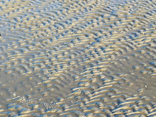 east frisia  schillig  wadden sea