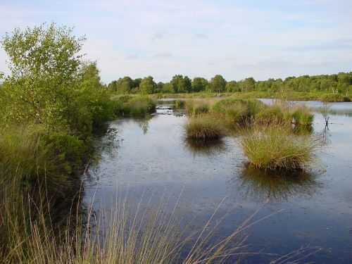 east frisia moor lake