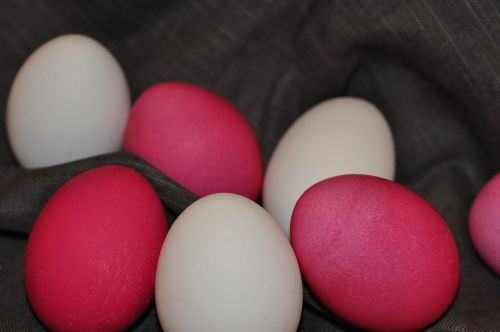 easter eggs paint