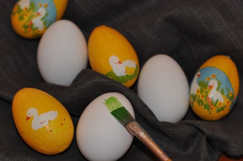 easter eggs chicken