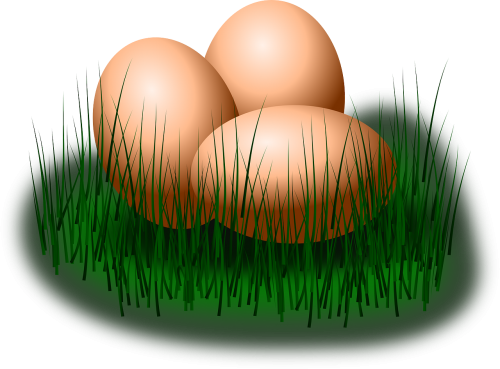 easter eggs grass