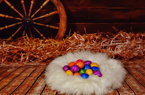 easter egg colorful eggs