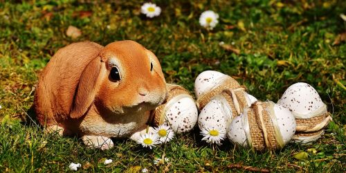 easter easter bunny spring