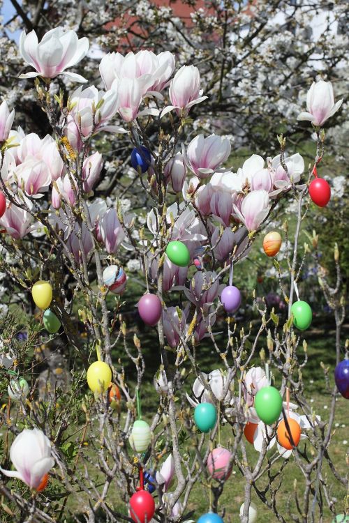 easter easter eggs magnolia