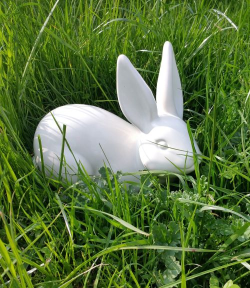 easter hare rabbit
