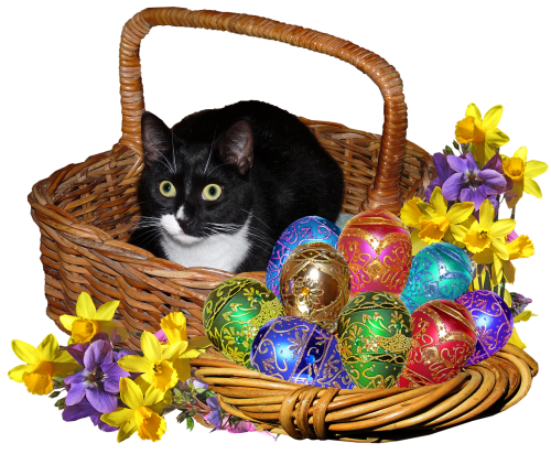 easter eggs cat in basket