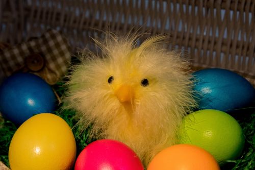 easter easter eggs colorful