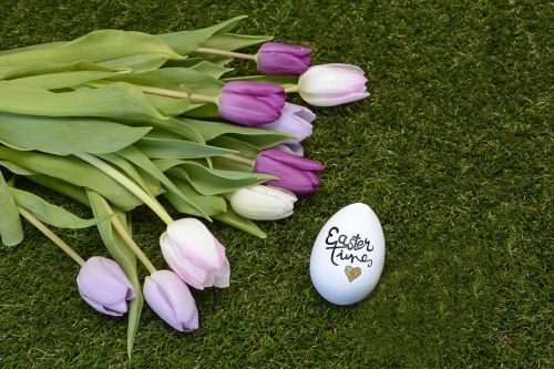 easter easter egg tulips