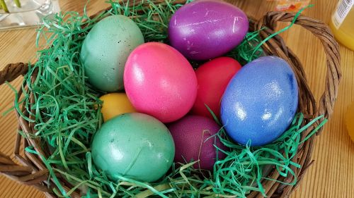 easter egg nest