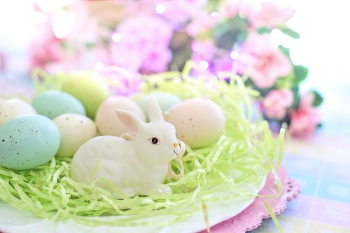 easter  eggs  bunny