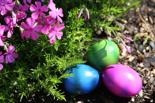 easter  easter eggs  colorful