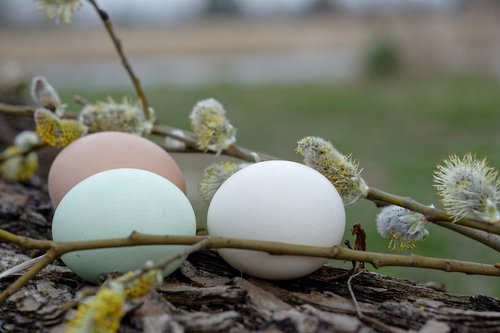 easter  easter eggs  eggs