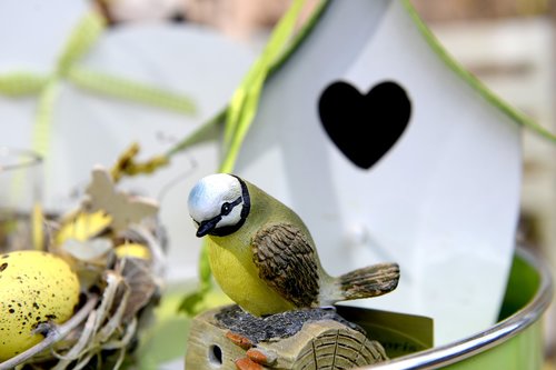 easter  love  bird