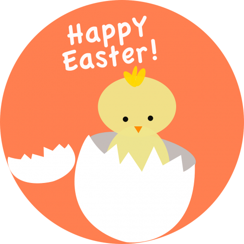 easter chick hatching