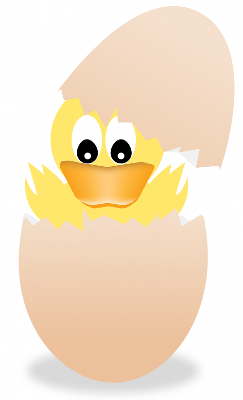 easter egg chick